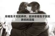 非婚生子女抚养权，起诉非婚生子女抚养权的流程