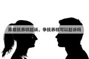 离婚抚养权起诉，争抚养权可以起诉吗
