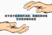 关于孩子抚养权的法律，美国抚养权独立决定权相关规定