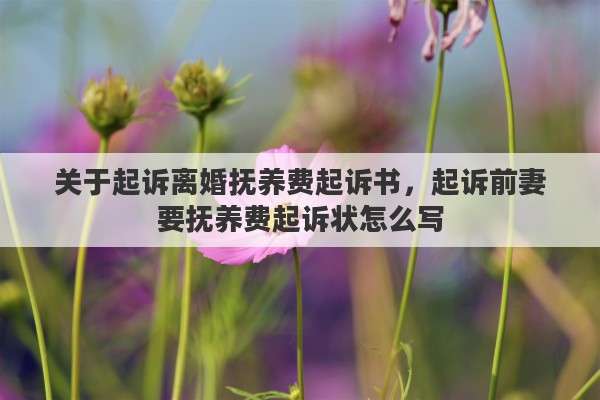 关于起诉离婚抚养费起诉书，起诉前妻要抚养费起诉状怎么写