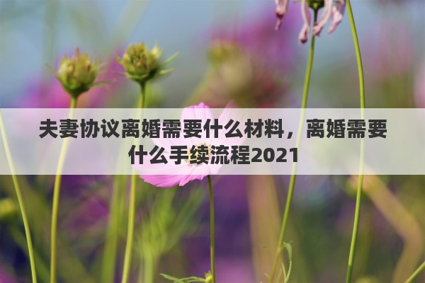 夫妻协议离婚需要什么材料，离婚需要什么手续流程2021