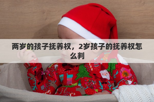 两岁的孩子抚养权，2岁孩子的抚养权怎么判