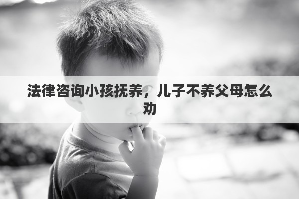 法律咨询小孩抚养，儿子不养父母怎么劝