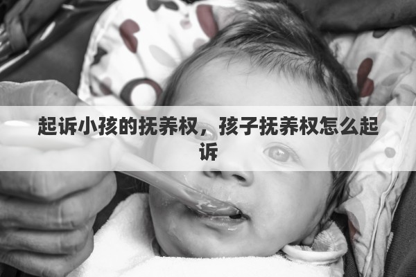 起诉小孩的抚养权，孩子抚养权怎么起诉