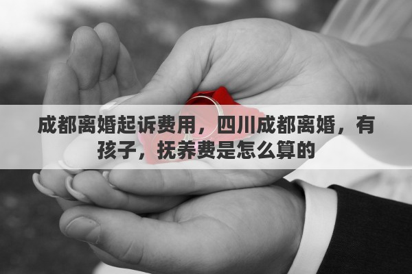 成都离婚起诉费用，四川成都离婚，有孩子，抚养费是怎么算的