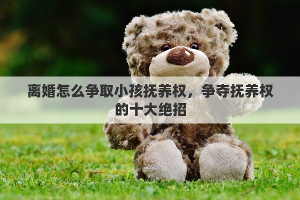 离婚怎么争取小孩抚养权，争夺抚养权的十大绝招