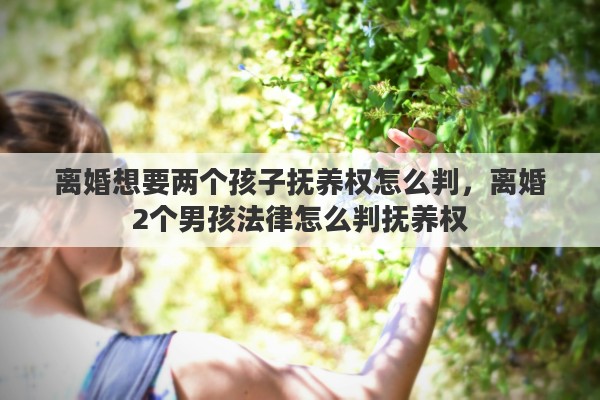 离婚想要两个孩子抚养权怎么判，离婚2个男孩法律怎么判抚养权