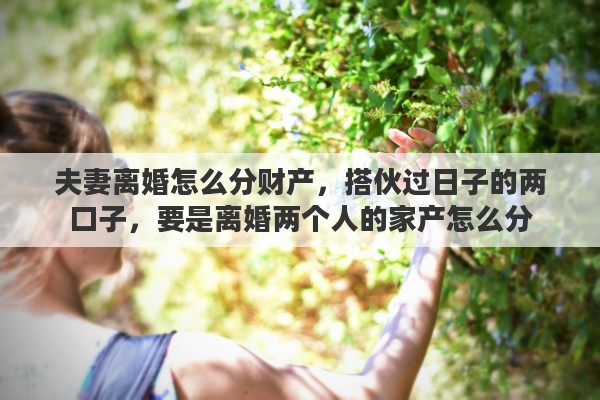 夫妻离婚怎么分财产，搭伙过日子的两口子，要是离婚两个人的家产怎么分