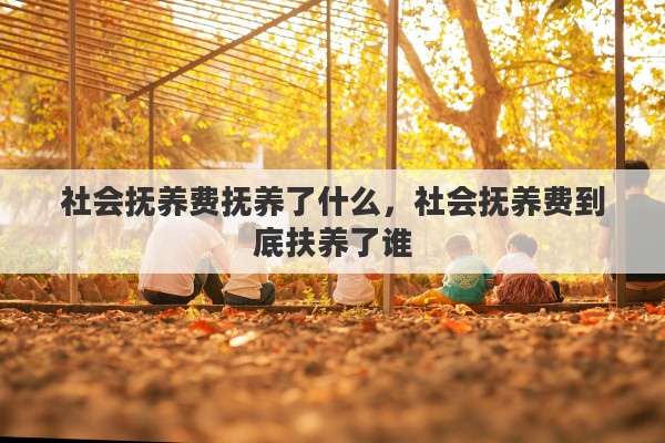 社会抚养费抚养了什么，社会抚养费到底扶养了谁