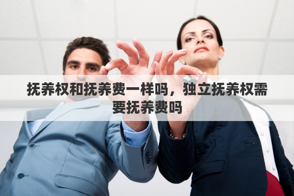 抚养权和抚养费一样吗，独立抚养权需要抚养费吗