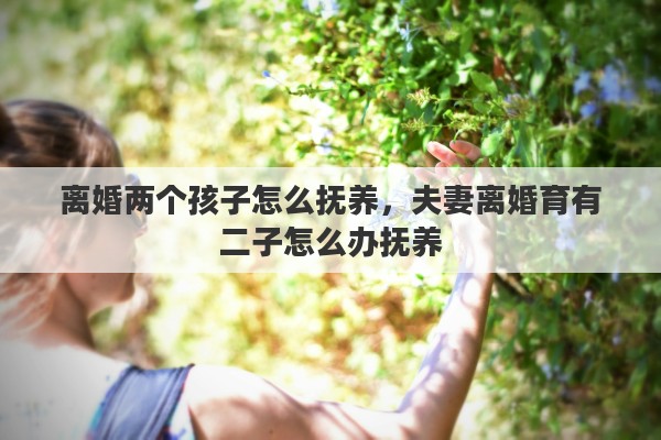 离婚两个孩子怎么抚养，夫妻离婚育有二子怎么办抚养