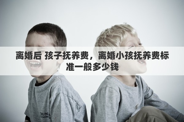 离婚后 孩子抚养费，离婚小孩抚养费标准一般多少钱