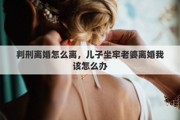 判刑离婚怎么离，儿子坐牢老婆离婚我该怎么办
