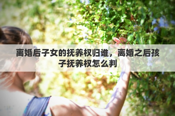 离婚后子女的抚养权归谁，离婚之后孩子抚养权怎么判