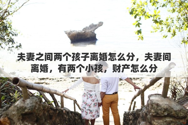 夫妻之间两个孩子离婚怎么分，夫妻间离婚，有两个小孩，财产怎么分