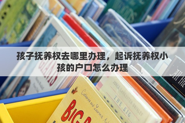 孩子抚养权去哪里办理，起诉抚养权小孩的户口怎么办理