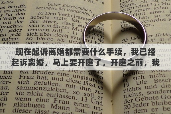 现在起诉离婚都需要什么手续，我已经起诉离婚，马上要开庭了，开庭之前，我该做什么准备吗