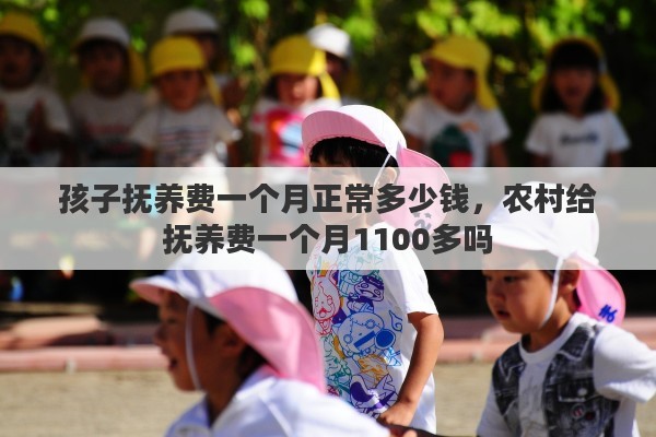 孩子抚养费一个月正常多少钱，农村给抚养费一个月1100多吗