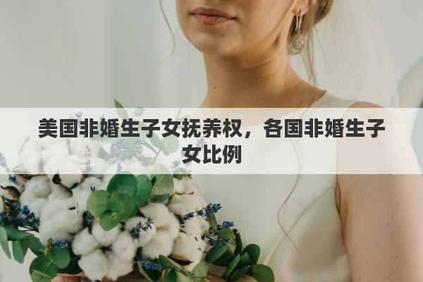 美国非婚生子女抚养权，各国非婚生子女比例