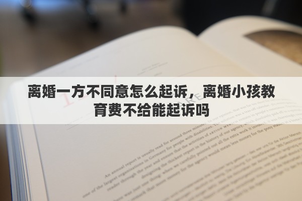 离婚一方不同意怎么起诉，离婚小孩教育费不给能起诉吗