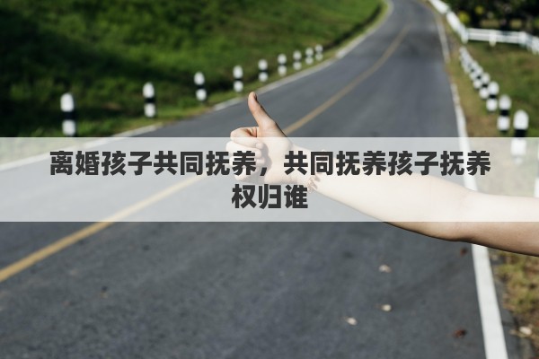 离婚孩子共同抚养，共同抚养孩子抚养权归谁