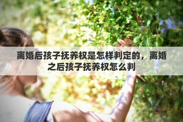 离婚后孩子抚养权是怎样判定的，离婚之后孩子抚养权怎么判