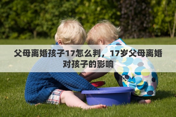 父母离婚孩子17怎么判，17岁父母离婚对孩子的影响