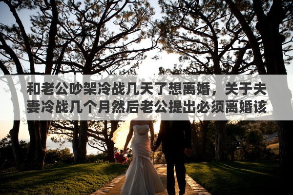 和老公吵架冷战几天了想离婚，关于夫妻冷战几个月然后老公提出必须离婚该怎样解决