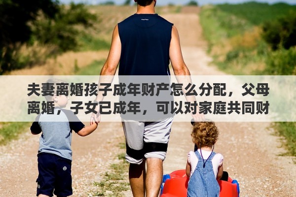 夫妻离婚孩子成年财产怎么分配，父母离婚，子女已成年，可以对家庭共同财产进行分割吗