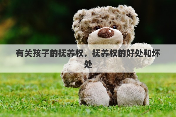 有关孩子的抚养权，抚养权的好处和坏处