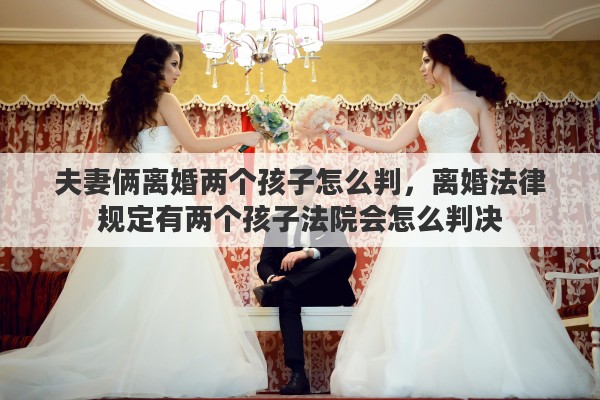 夫妻俩离婚两个孩子怎么判，离婚法律规定有两个孩子法院会怎么判决