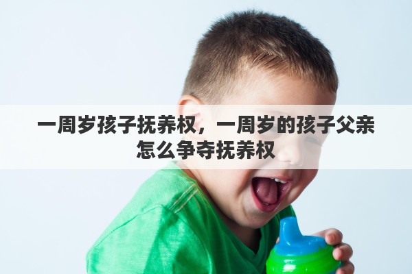 一周岁孩子抚养权，一周岁的孩子父亲怎么争夺抚养权