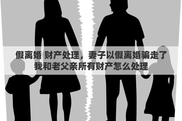 假离婚 财产处理，妻子以假离婚骗走了我和老父亲所有财产怎么处理