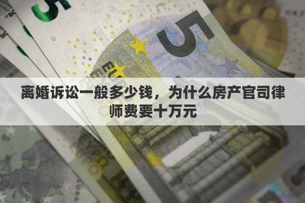 离婚诉讼一般多少钱，为什么房产官司律师费要十万元