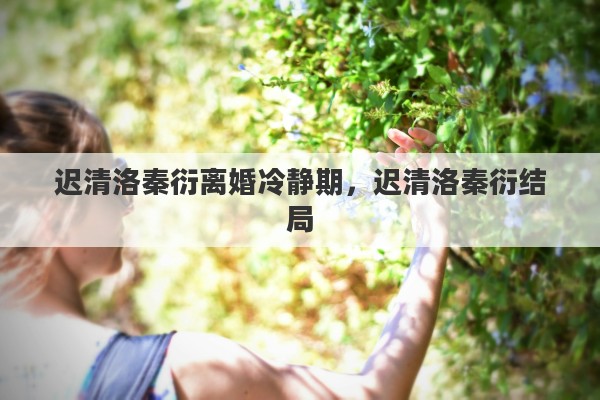 迟清洛秦衍离婚冷静期，迟清洛秦衍结局