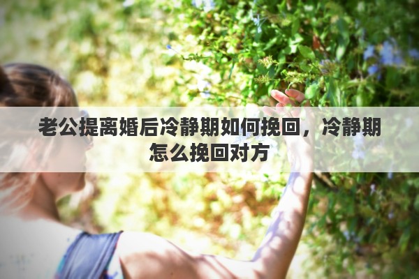 老公提离婚后冷静期如何挽回，冷静期怎么挽回对方