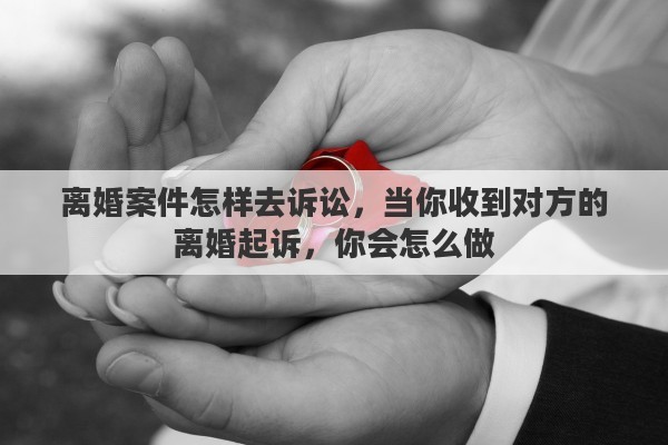 离婚案件怎样去诉讼，当你收到对方的离婚起诉，你会怎么做