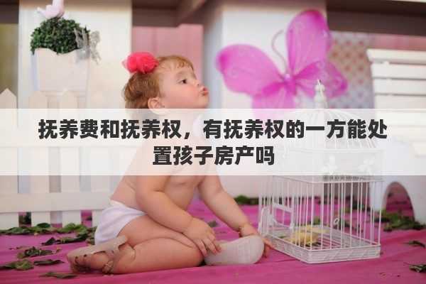 抚养费和抚养权，有抚养权的一方能处置孩子房产吗