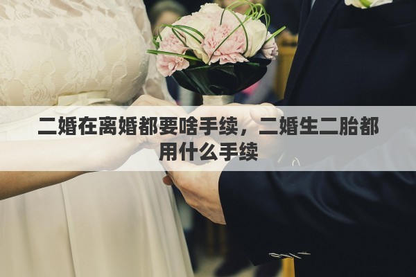 二婚在离婚都要啥手续，二婚生二胎都用什么手续