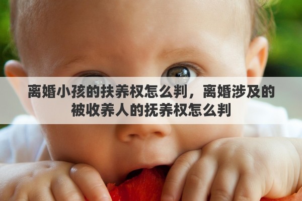 离婚小孩的扶养权怎么判，离婚涉及的被收养人的抚养权怎么判