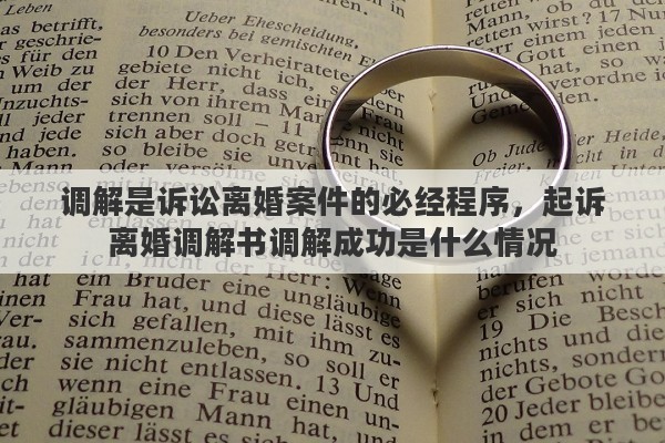 调解是诉讼离婚案件的必经程序，起诉离婚调解书调解成功是什么情况