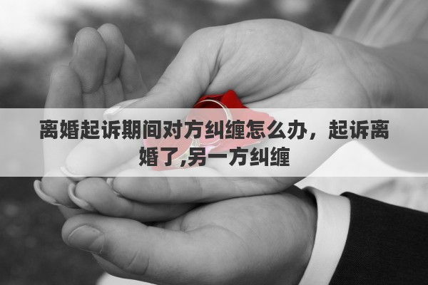 离婚起诉期间对方纠缠怎么办，起诉离婚了,另一方纠缠