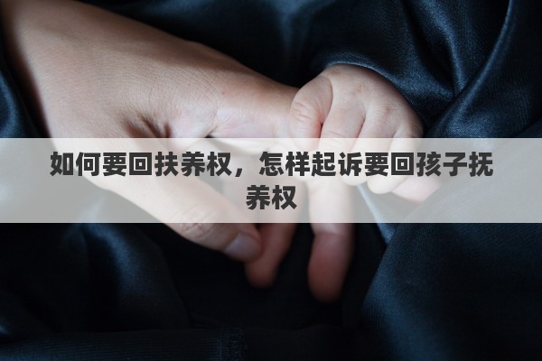 如何要回扶养权，怎样起诉要回孩子抚养权