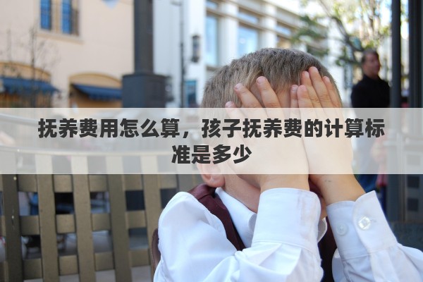 抚养费用怎么算，孩子抚养费的计算标准是多少