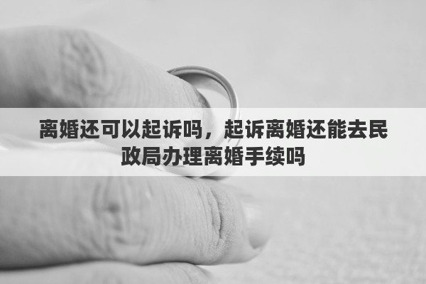 离婚还可以起诉吗，起诉离婚还能去民政局办理离婚手续吗