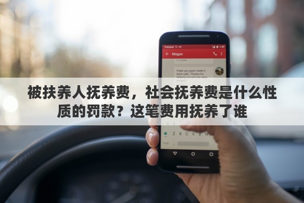 被扶养人抚养费，社会抚养费是什么性质的罚款？这笔费用抚养了谁