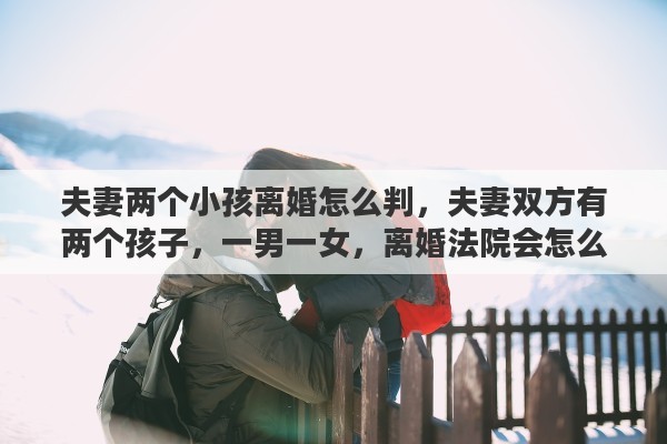 夫妻两个小孩离婚怎么判，夫妻双方有两个孩子，一男一女，离婚法院会怎么判