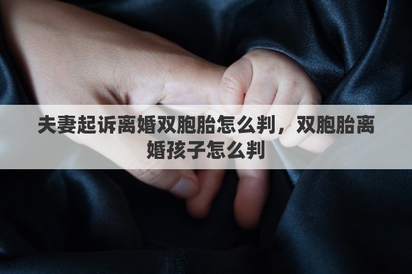夫妻起诉离婚双胞胎怎么判，双胞胎离婚孩子怎么判