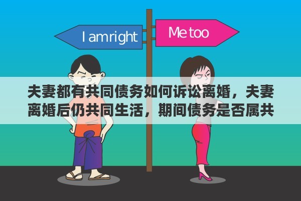 夫妻都有共同债务如何诉讼离婚，夫妻离婚后仍共同生活，期间债务是否属共同债务