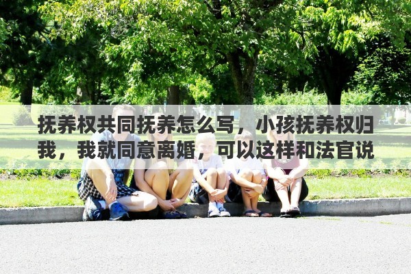 抚养权共同抚养怎么写，小孩抚养权归我，我就同意离婚，可以这样和法官说吗